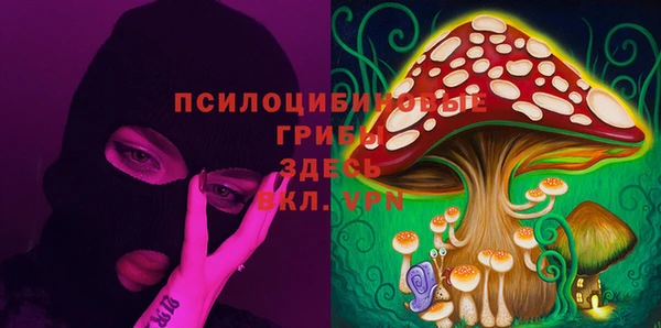 гидропоника Анжеро-Судженск