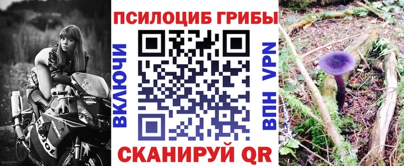 shop телеграм Вуктыл Галлюциногенные грибы GOLDEN TEACHER наркошоп