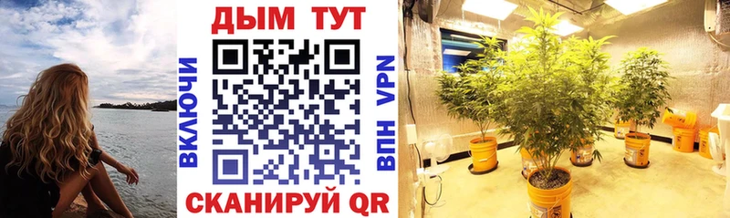 купить   Вуктыл  Бошки марихуана THC 21% 